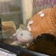 冨岡沙良のサムネイル