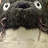 お天道の子育て日記のプロフィール