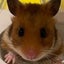 Nozoのサムネイル