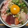polvloqのプロフィール