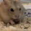 小さな幸せ日記のサムネイル
