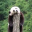 柚季のサムネイル