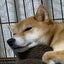 ゆゆのサムネイル