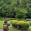 romaのサムネイル