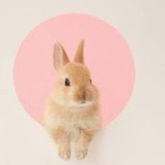 nrt0-tmgのプロフィール