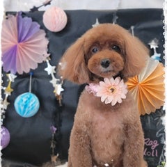 jasmineのプロフィール
