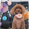 jasmineのプロフィール