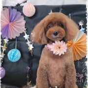 jasmineのおすすめ♡のサムネイル