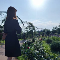 diorxmarkのプロフィール
