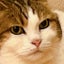 無職でもいいよねのサムネイル