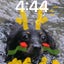 イナムラリョウイチのサムネイル