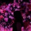 画像 薬剤師ManaのEVERY DAY IS A NEW DAYのユーザープロフィール画像
