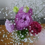 花央(かお)のおすすめのサムネイル