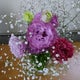 花央(かお)のおすすめのサムネイル