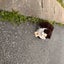 seiyaneko0624のサムネイル
