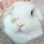画像 ずぼらゲーマー～不妊治療日記～のユーザープロフィール画像