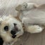 小春日和のサムネイル