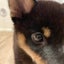 yuuminaskyのサムネイル