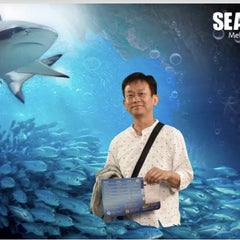 ええやんのプロフィール