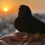 画像 のりをライフのユーザープロフィール画像