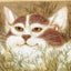 巨大ウサギのサムネイル