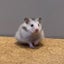 トキメキのサムネイル