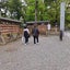 ダンマリのサムネイル