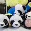 ぱんだ家の母のサムネイル