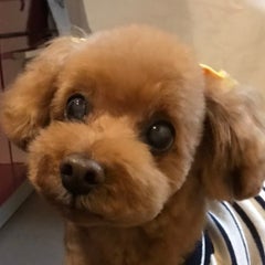 kazuちゃんのプロフィール