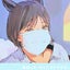 ✿　apricot　✿のサムネイル