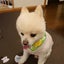 画像 ameblo117888のブログのユーザープロフィール画像