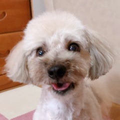 pochimaru3919のプロフィール