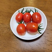 にゃおママのおすすめのサムネイル