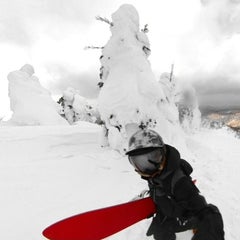 bonのプロフィール