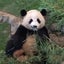 パート主婦大家さんmaiのサムネイル