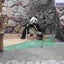 okirakubee333のサムネイル