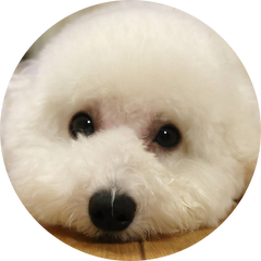 山形おきらく日記のプロフィール