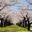 画像 にっこりふわふわ日記のユーザープロフィール画像