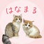 はなまる生活🏠🐾のサムネイル