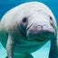 マナーていっのリウマチブログのサムネイル