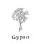 gypso-ltdのサムネイル