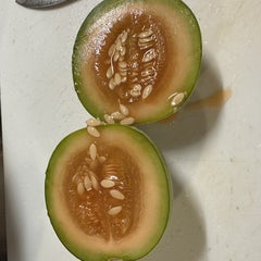 りょきの株ブログのプロフィール