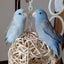 なぎ＆ちゅらのサムネイル
