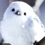 パトラのサムネイル
