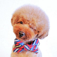 asacoのプロフィール
