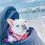 フレブルふき（の主）のサムネイル
