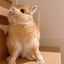 rico＊horicのサムネイル