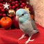 マメヤシキのサムネイル
