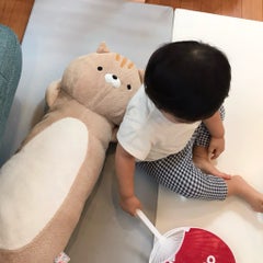 pipoのプロフィール
