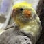 rt356のサムネイル